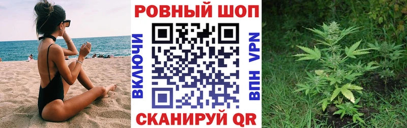 Галлюциногенные грибы Елец