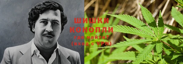 2c-b Вяземский