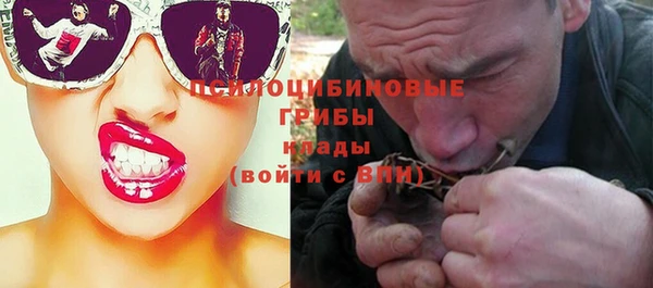 гашик Вязьма