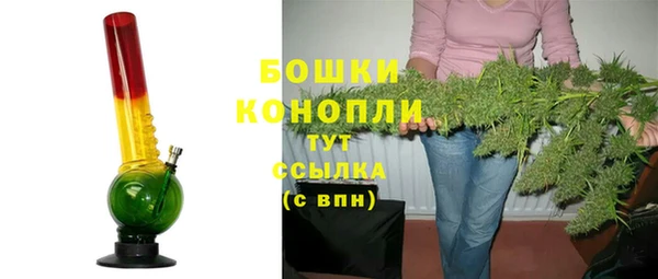 гашик Вязьма