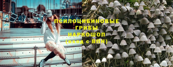 PSILOCYBIN Приозерск