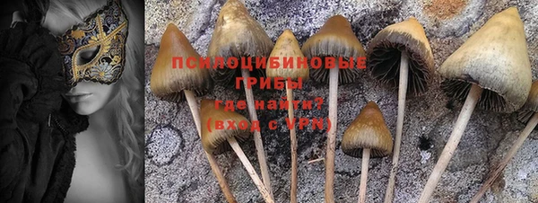 2c-b Вяземский