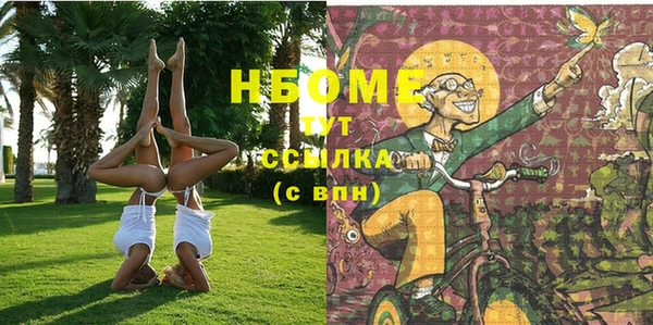 гашик Вязьма