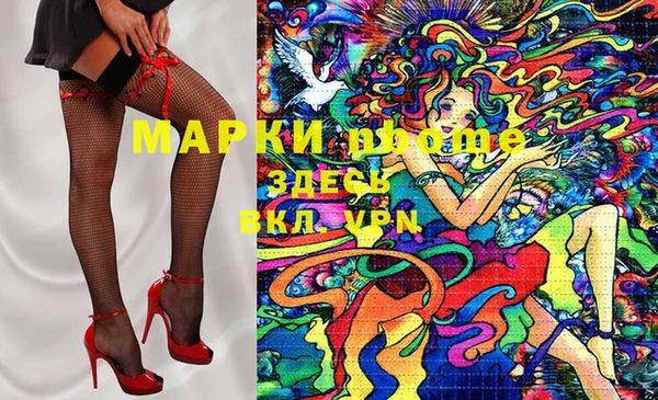 гашик Вязьма