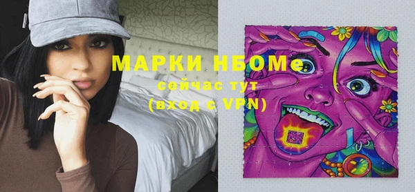 гашик Вязьма