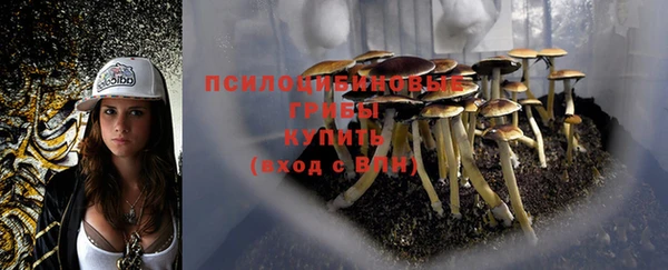 2c-b Вязники
