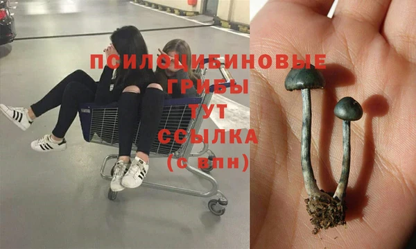 2c-b Вязники