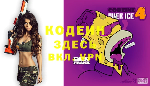 гашик Вязьма