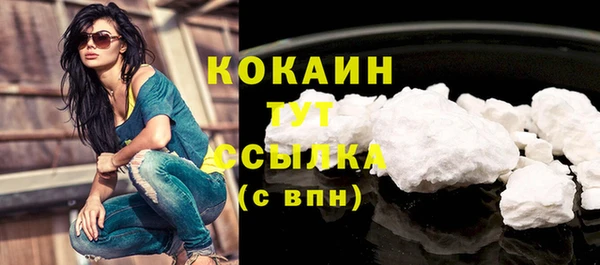 гашик Вязьма