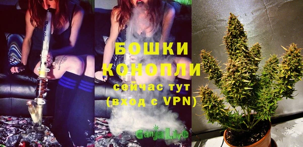 2c-b Вяземский