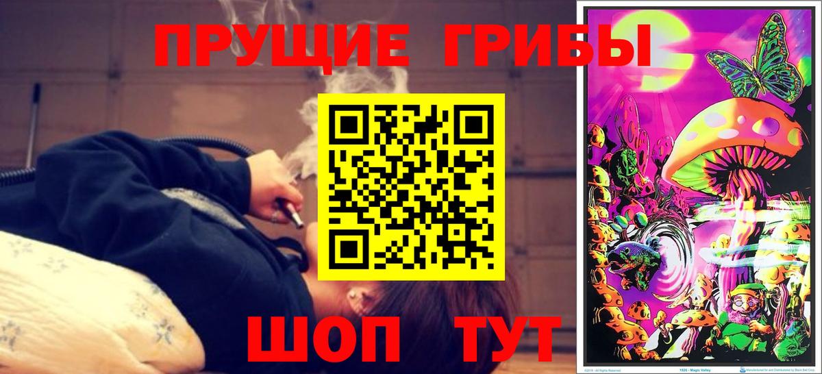 Псилоцибиновые грибы Cubensis Елец